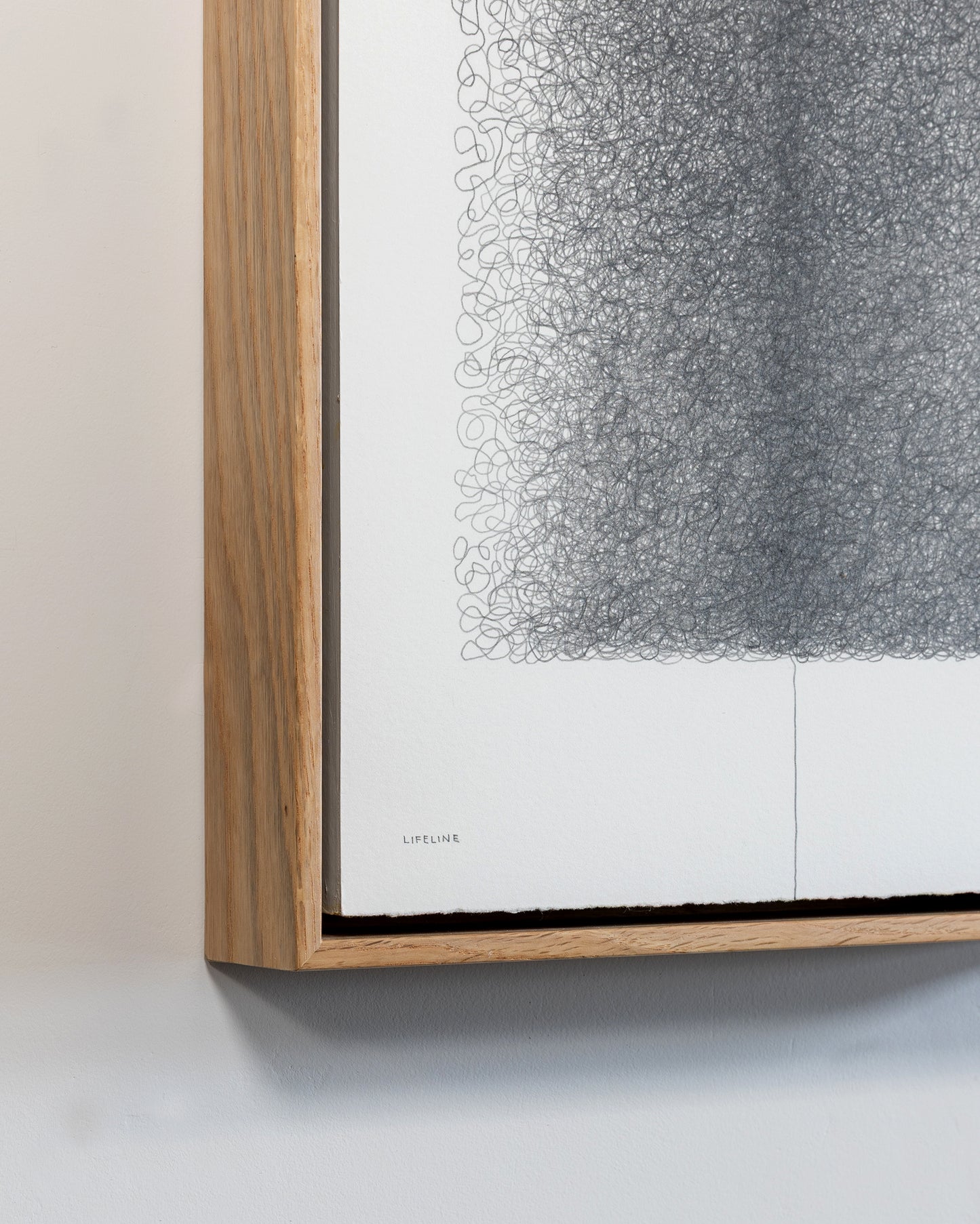 Lifeline - Graphite on paper - 11 x 14 inches unframed