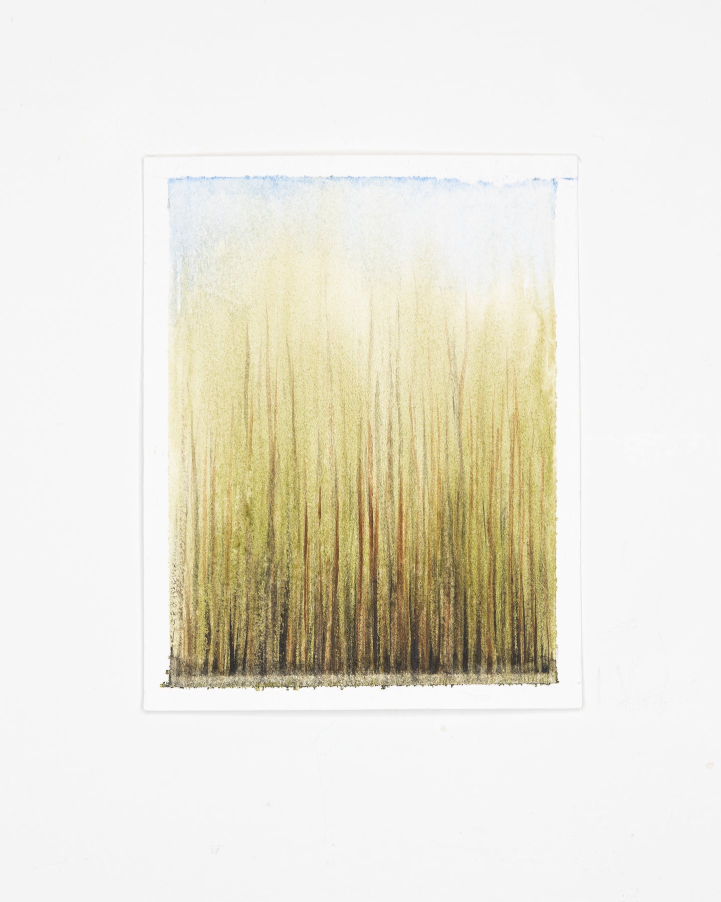 The Tall Tall Grass - Original Watercolor - 4.5 x 5.75 inches