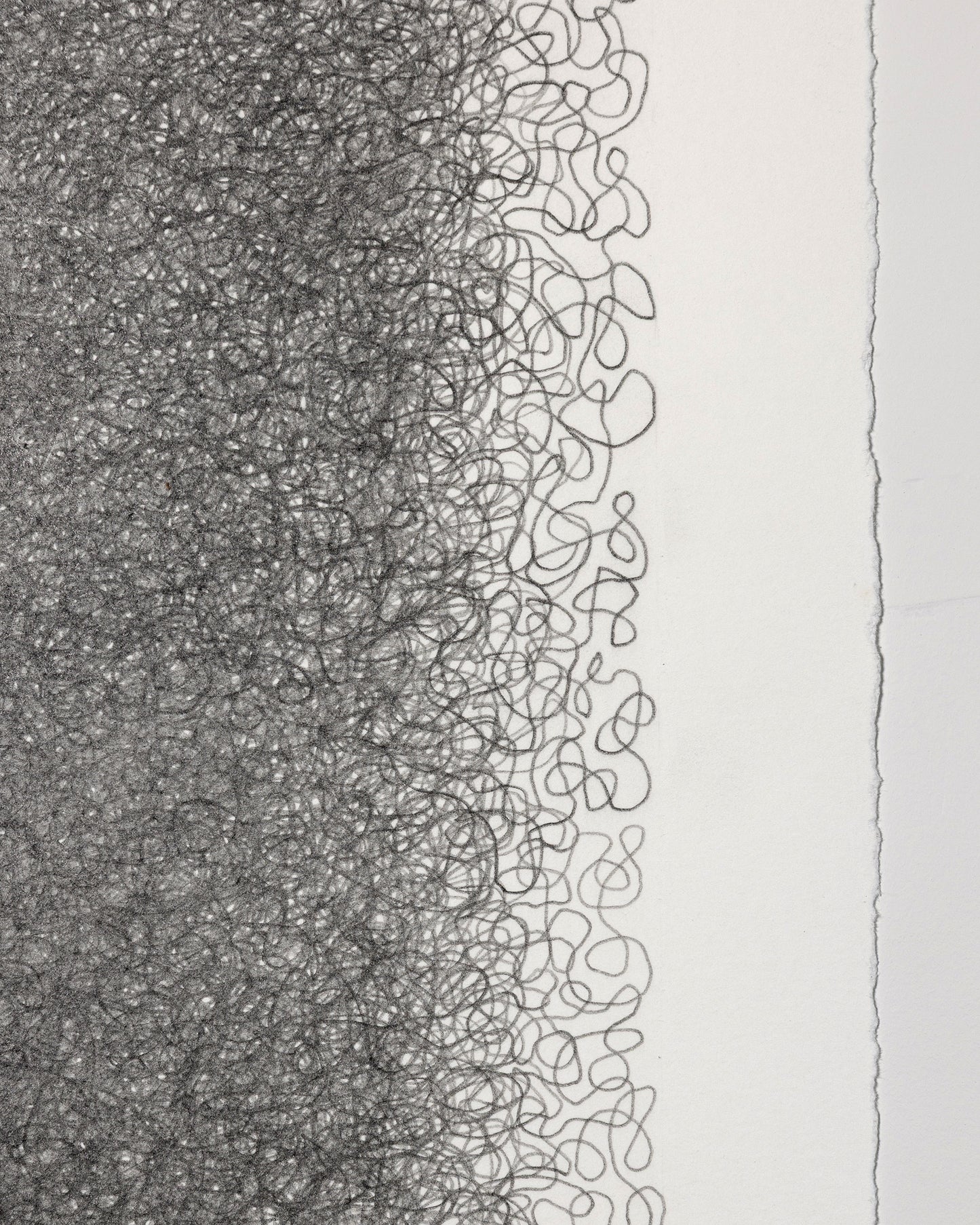 Lifeline - Graphite on paper - 11 x 14 inches unframed